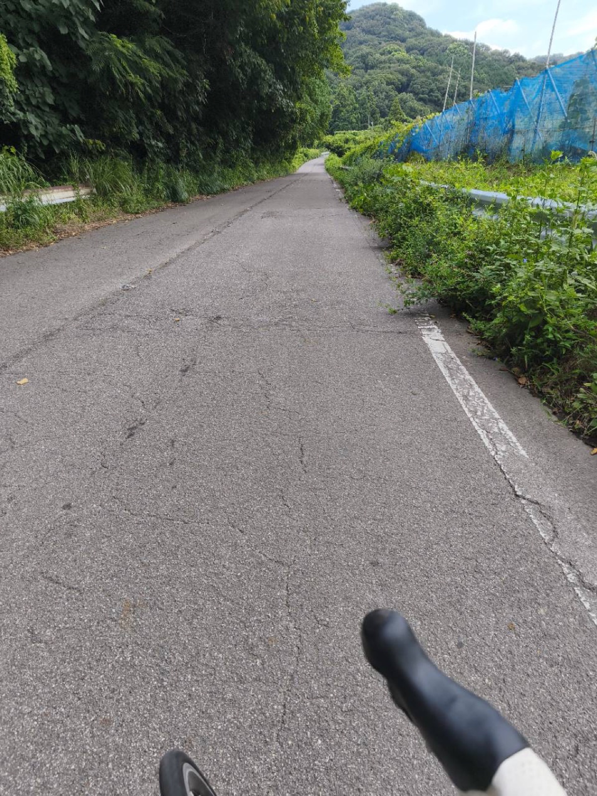 山深くなっていく愛知県道525号