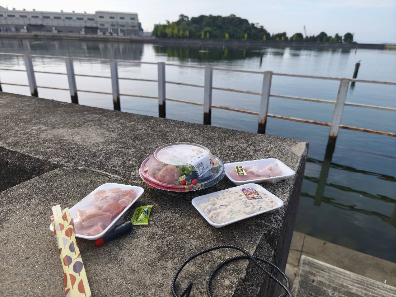 蒲郡の海辺で食べたマグロの朝食